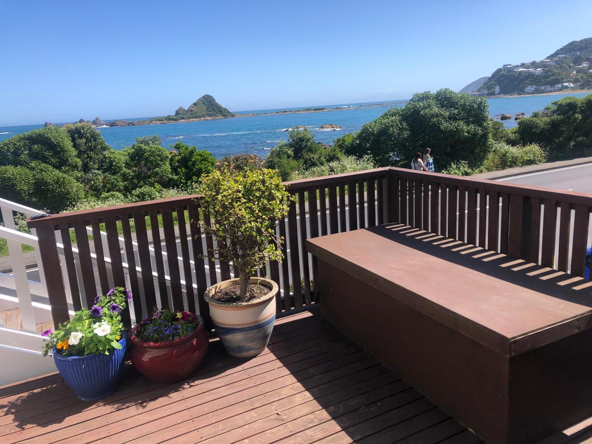 Seafront Haven In Island Bay With Deck, Outdoor Bath, And Parking Lägenhet Wellington Exteriör bild